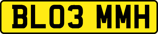 BL03MMH