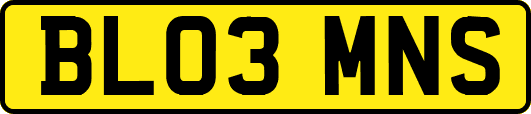 BL03MNS