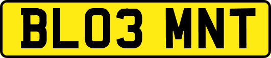 BL03MNT