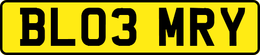 BL03MRY