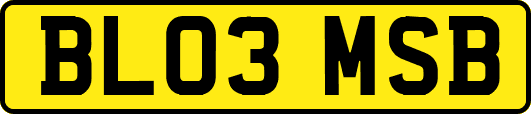 BL03MSB