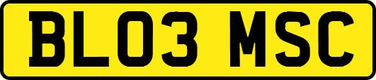 BL03MSC