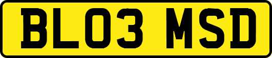 BL03MSD