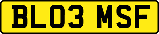BL03MSF
