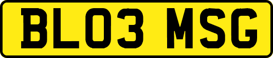 BL03MSG
