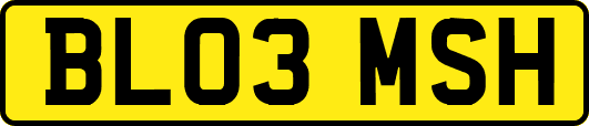 BL03MSH
