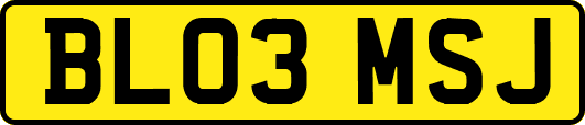 BL03MSJ