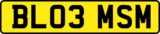 BL03MSM