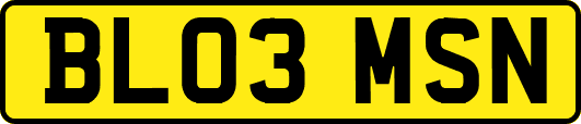 BL03MSN