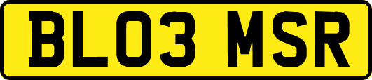 BL03MSR