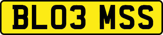 BL03MSS