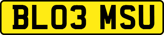 BL03MSU