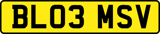 BL03MSV