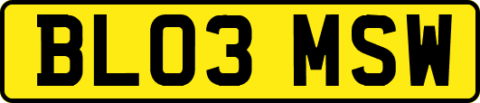 BL03MSW