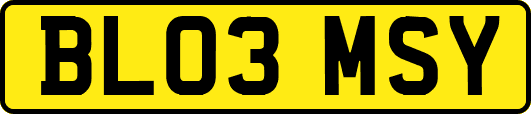 BL03MSY