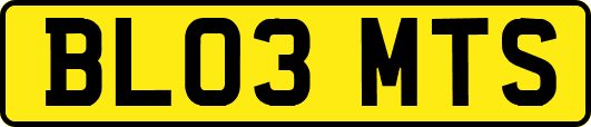 BL03MTS