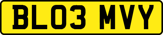 BL03MVY