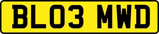 BL03MWD