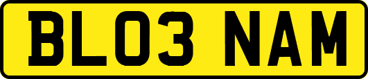 BL03NAM