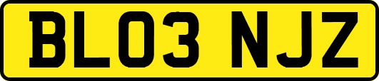 BL03NJZ