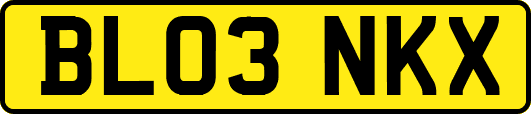 BL03NKX