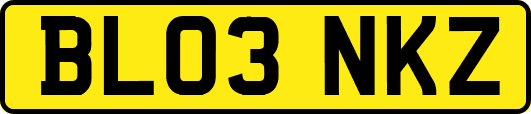BL03NKZ
