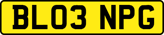 BL03NPG
