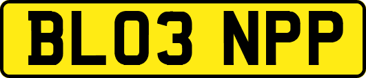 BL03NPP