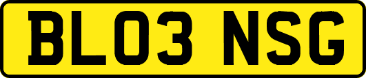 BL03NSG