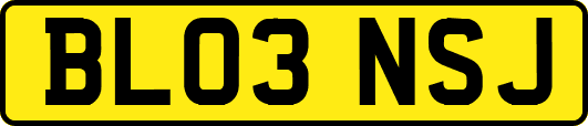 BL03NSJ