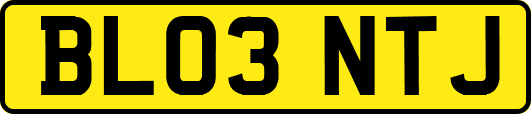 BL03NTJ