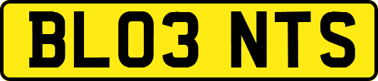 BL03NTS
