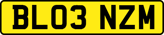 BL03NZM