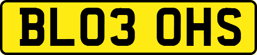 BL03OHS