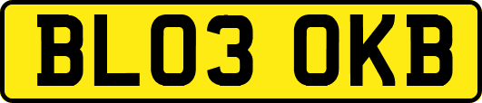 BL03OKB