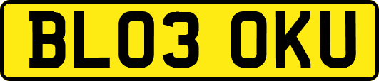 BL03OKU