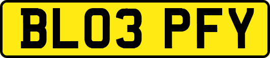 BL03PFY