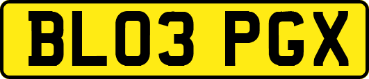BL03PGX