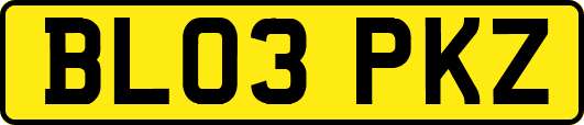 BL03PKZ