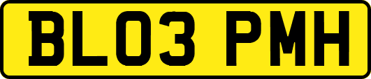 BL03PMH