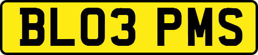 BL03PMS