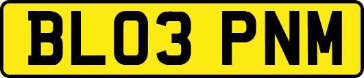 BL03PNM