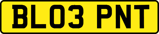 BL03PNT