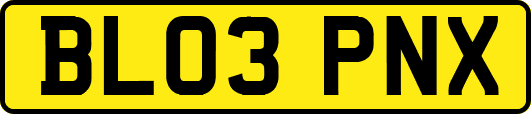 BL03PNX