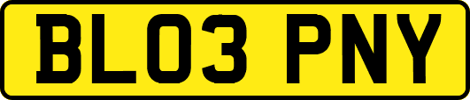 BL03PNY