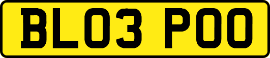 BL03POO