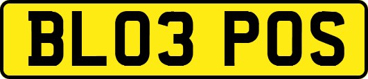 BL03POS
