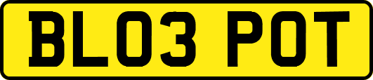 BL03POT