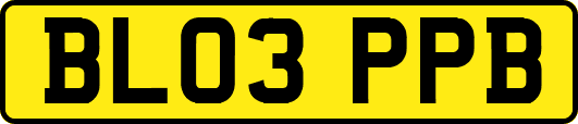 BL03PPB