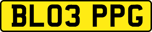 BL03PPG